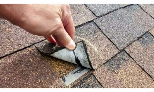 Professional Roof Inspection